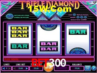 Bet300 Casino